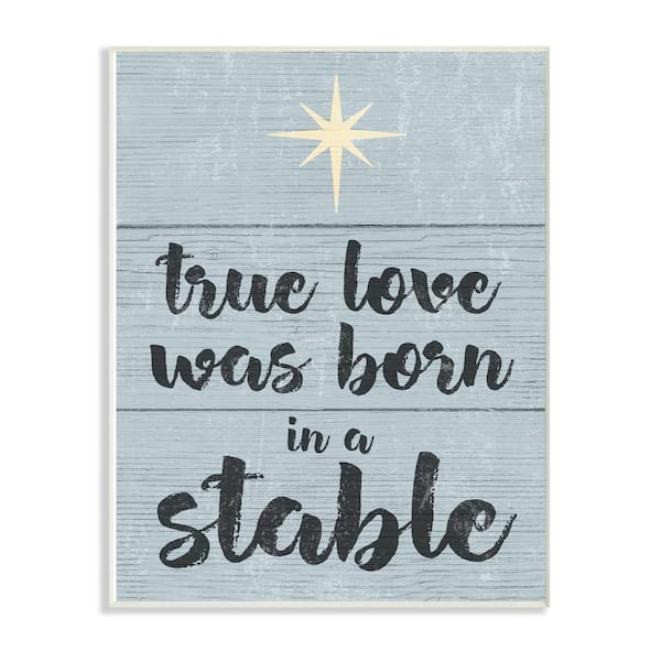Stupell Industries 10 in. x 15 in. "Blue and White Christmas True Love Was Born In A Stable" by Artist Daphne Polselli Wood Wall Art