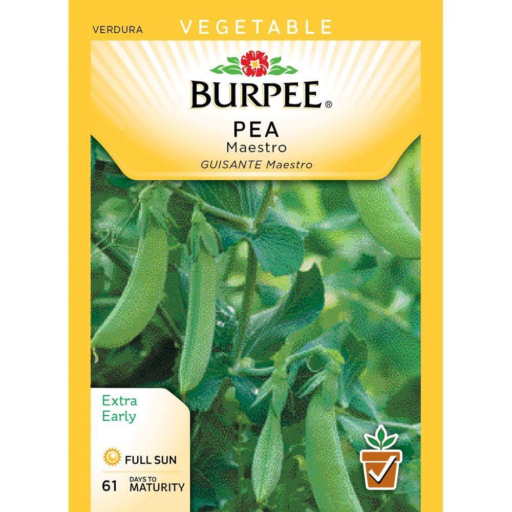 Burpee Pea Shell Maestro WP Seed 53453 - The Home Depot