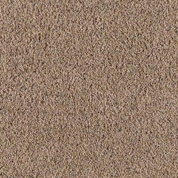 Lifeproof Carpet Sample - Old Ivy I - Color Woodland Texture 8 in. x 8 in.