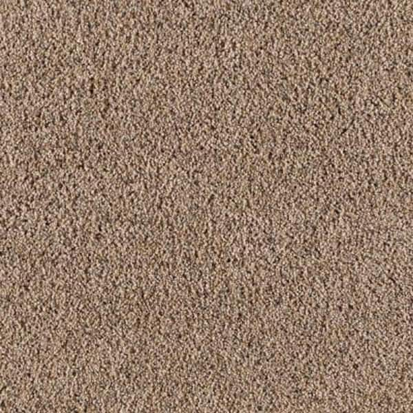 Lifeproof Carpet Sample - Old Ivy II - Color Woodland Texture 8 in. x 8 in.