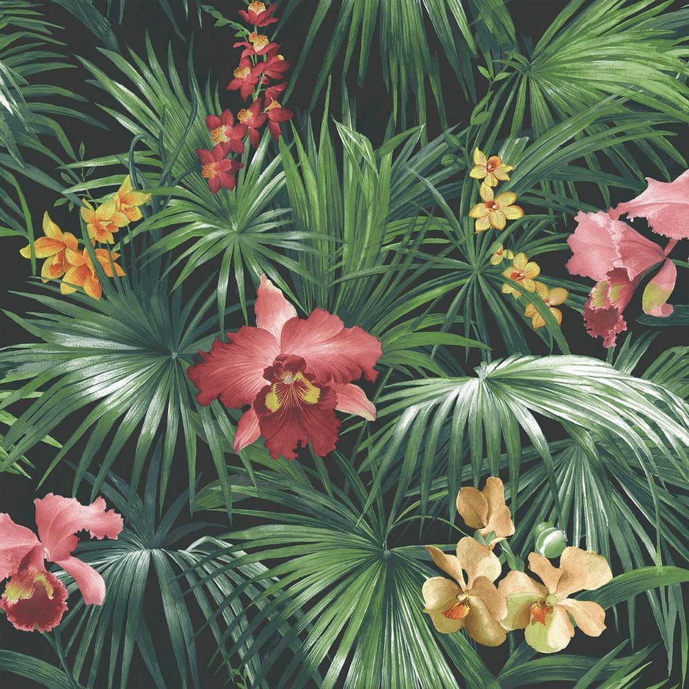 Tropical Flowers Photos Download The BEST Free Tropical Flowers Stock  Photos  HD Images