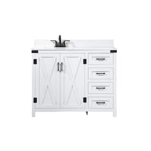 Timeless Home 42 in. W x 19 in. D x 34 in. H Bath Vanity in White with Ivory White Top