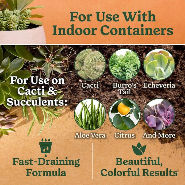 Indoor Potting Mix for Cactus and Succulent 8 qt. Fast-Draining Cactus and Succulent Potting Soil with Plant Food