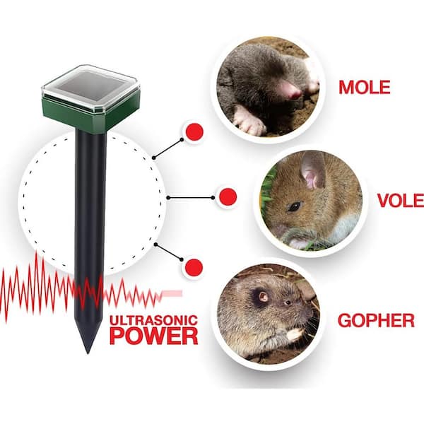 Vole Traps and Baits - Rove Pest Control