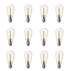60-Watt Equivalent ST19 Dimmable Spiral Filament Clear Glass E26 Vintage Edison LED Light Bulb, Warm White (12-Pack)