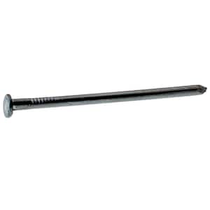 #10-1/4 x 2-1/2 in. 8-Penny Bright Steel Smooth Shank Common Nails (50 lbs.-Pack)