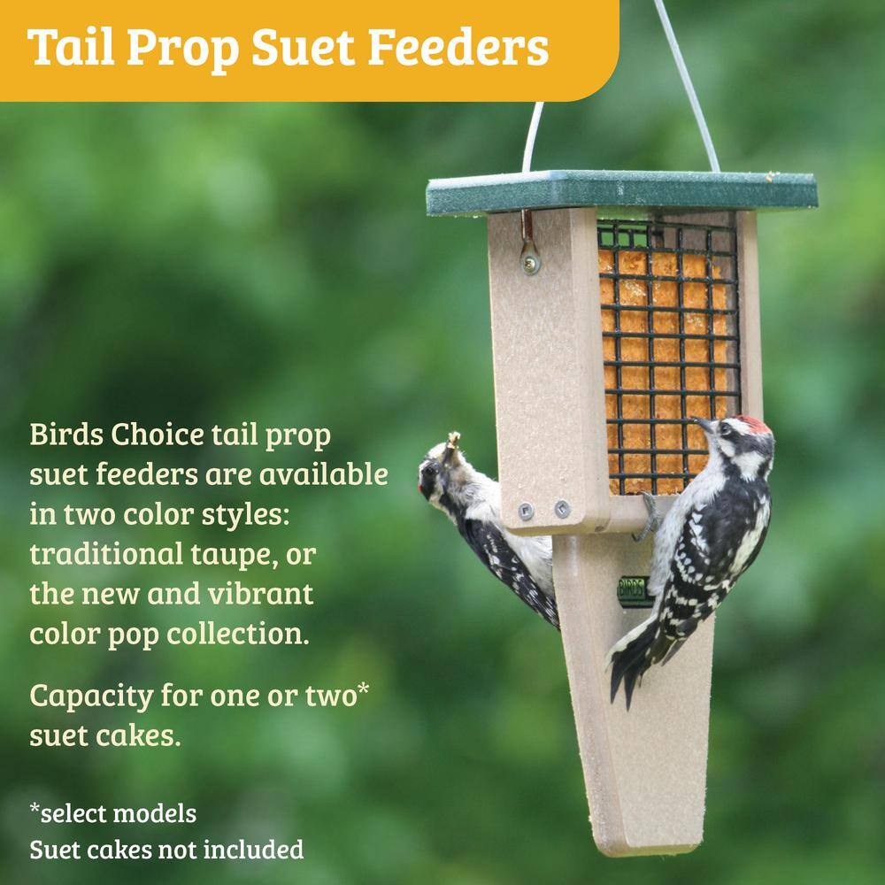 Taupe and Brown Recycled Plastic Hanging Suet Bird Feeder