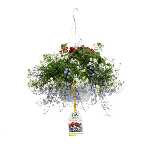 PROVEN WINNERS 10 in. Rocket's Red Glare Combination Hanging Basket, Live Plants, Red, White, and Blue Flowers