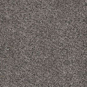 Gilbert Park I - Prairie - Brown 48 oz. Polyester Texture Installed Carpet