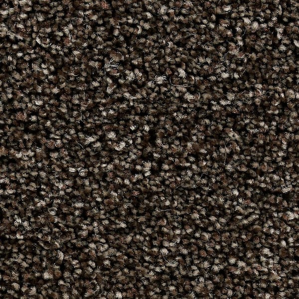 Beaulieu Carpet Sample - Greenlee I - In Color Mochachino 8 in. x 8 in.