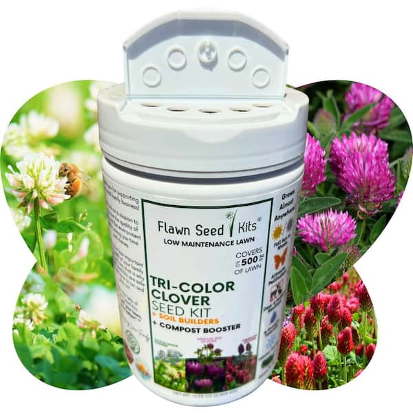 Tricolor Clover Flower Lawn Seed Kit, Easy Spread Shaker, Low Mnt, Alternative Ground Cover, Covers Up to 500 sq. ft.
