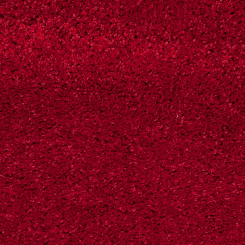 2 ft. x 4 ft. Red Synthetic Shag Area Rug