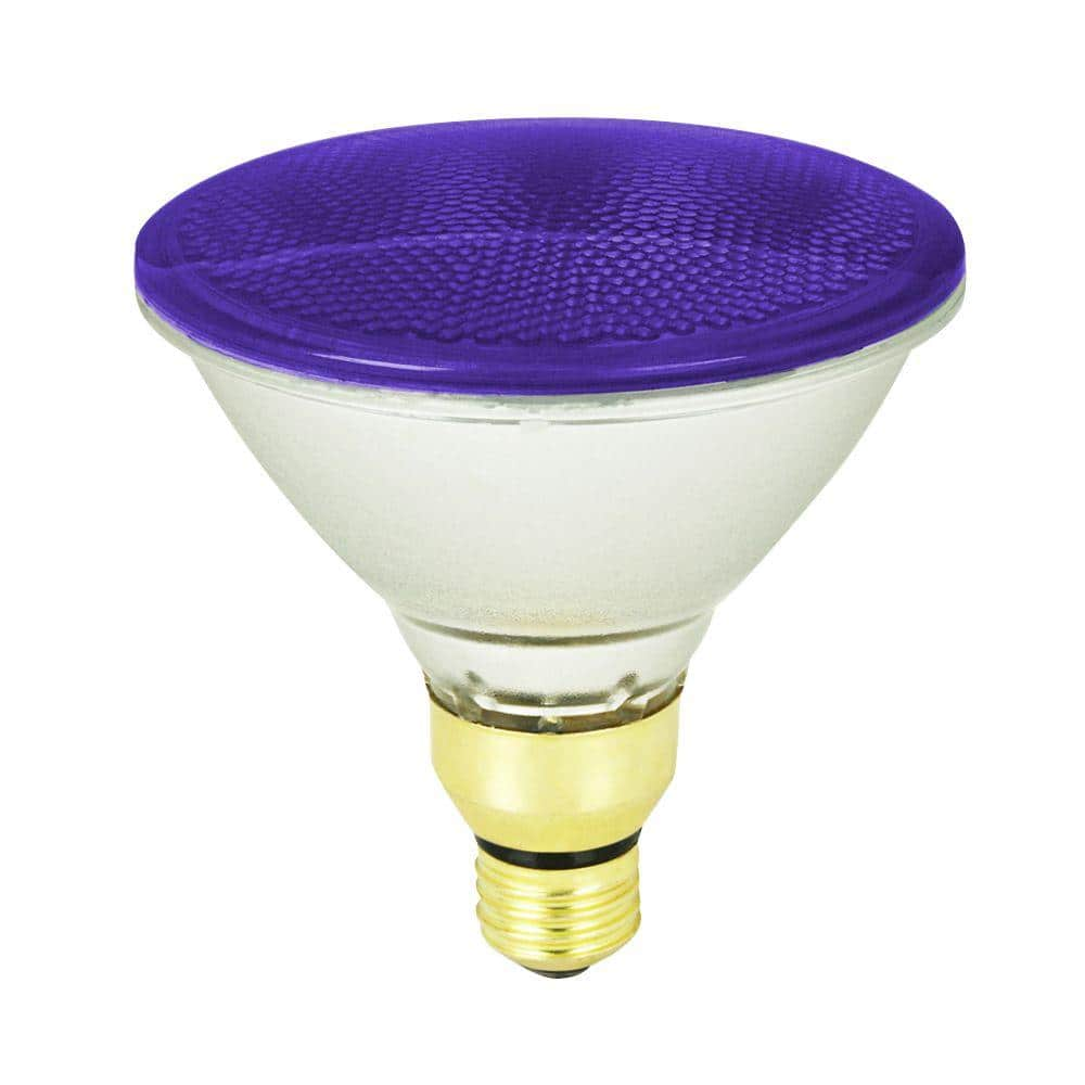 purple spotlight bulb