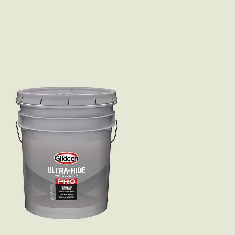 5 gal. PPG1028-1 Hint of Pine Ultra Flat Interior Paint price history on PriceWatchPro