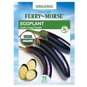 Organic Eggplant Long Purple Early Fruit Seed