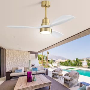 48 in. Indoor/Outdoor Wood Gold Ceiling Fan with 3 Color LED Light and 6 Speed DC Motor