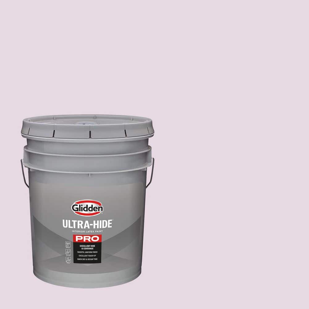 1 gal. PPG1180-2 Rajah Rose Eggshell Interior Paint price history on PriceWatchPro