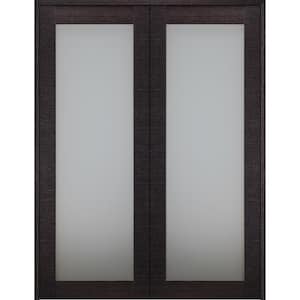 Avanti 207 60 in.x 92.5 in. Both Active Black Apricot Composite Wood Double Prehung Interior Door