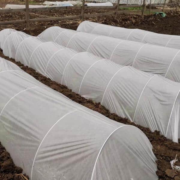 Agfabric Fiberglass Garden Greenhouse Hoops, Removable Plant Grow Support  Tunnels for Garden Fabric (12 -Pack) FGHT76W12P The Home Depot