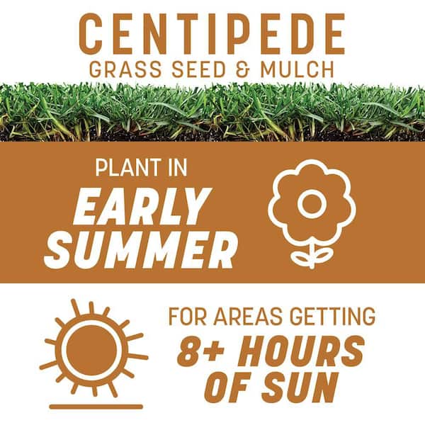 Centipede 5 lb. 2,000 sq. ft. Grass Seed and Mulch
