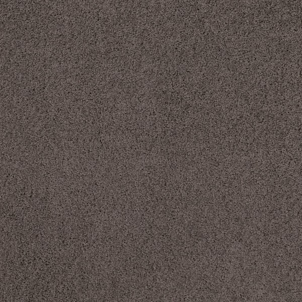 Lifeproof Around The World - Armor - Brown 56.2 oz. Nylon Texture Installed Carpet