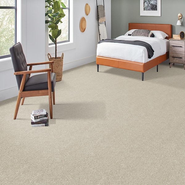 Denfort - Twine - Brown 70 oz. Triexta Texture Installed Carpet