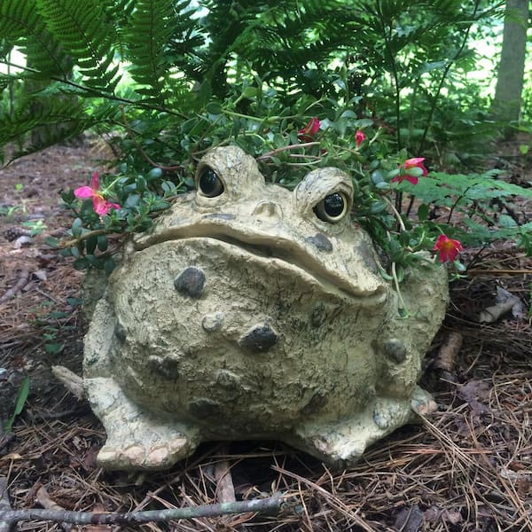Details about   Garden Frog Statue Jumbo Toad Collectible Outdoor Classic Coastal Farmhouse Rust 
