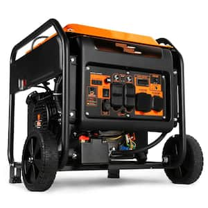 WEN Super Quiet 2500-Watt Portable Dual Fuel Powered Inverter Generator  with Recoil Start, Fuel Shut-Off and CO Sensor DF250iX - The Home Depot