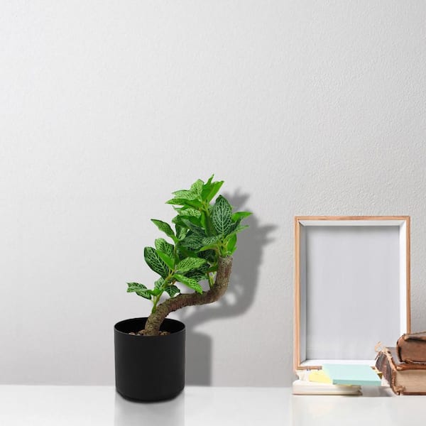 Oumilen 10 in. Green Artificial Plants Fake Plant Potted for Desk Home Office Living Room Table Shelf Decor