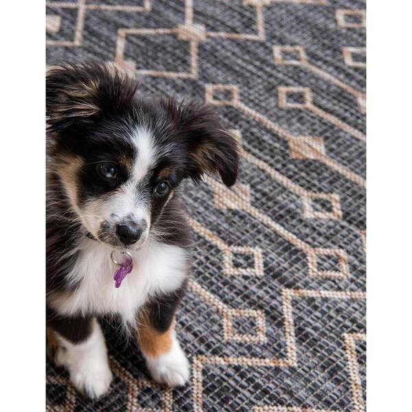 Border Collie Non Shedding Border Collie Rug Rectangle Rugs