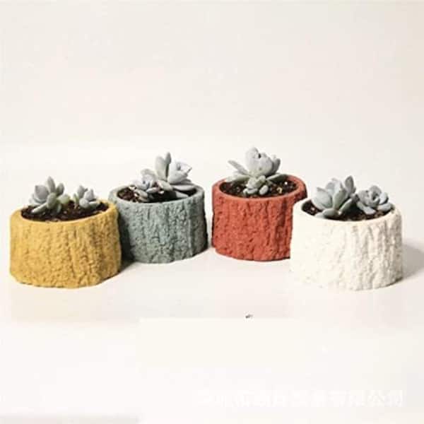air plant holder Air Plants Stands  Plantaflor USA, Inc