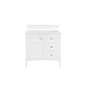 Palisades 35 in. W x 23 in. D x 34 in. H Single Vanity Cabinet Without Top in Bright White