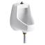 KOHLER Steward Waterless Urinal in White-K-4917-0 - The Home Depot