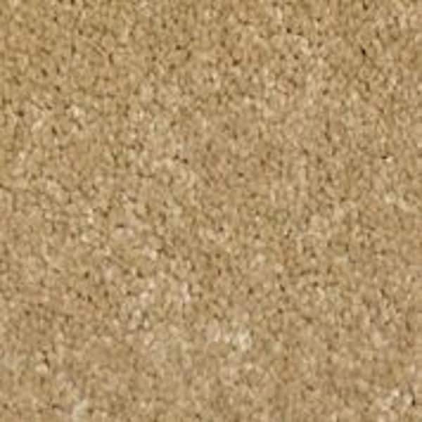 Home Decorators Collection Sycamore II - Laurel - Brown 58 oz. SD Polyester Texture Installed Carpet