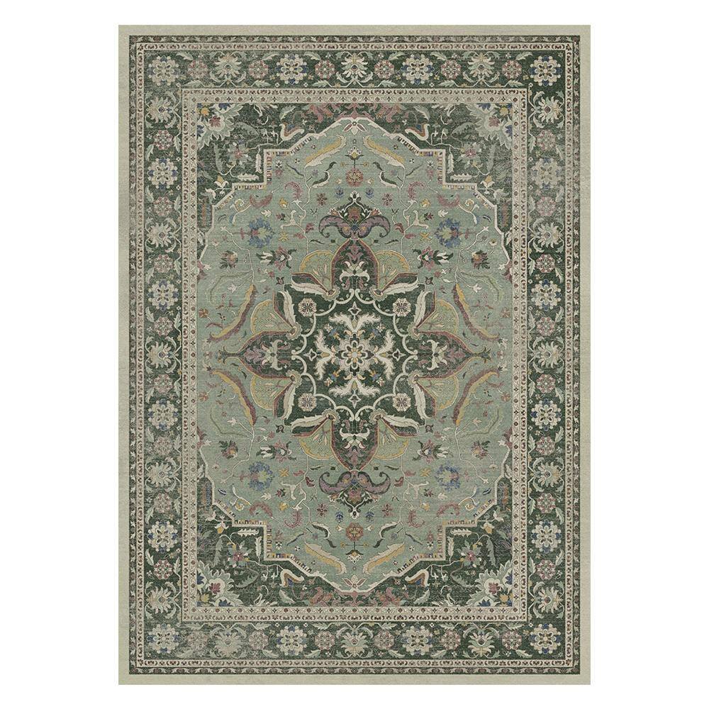 Samar Machine Washable Green 5 ft. x 7 ft. Medallion Indoor Area Rug price history on PriceWatchPro