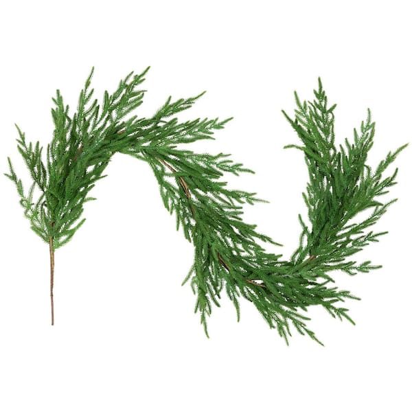 Norfolk Pine Artificial Christmas Garland - 5 ft. - Unlit