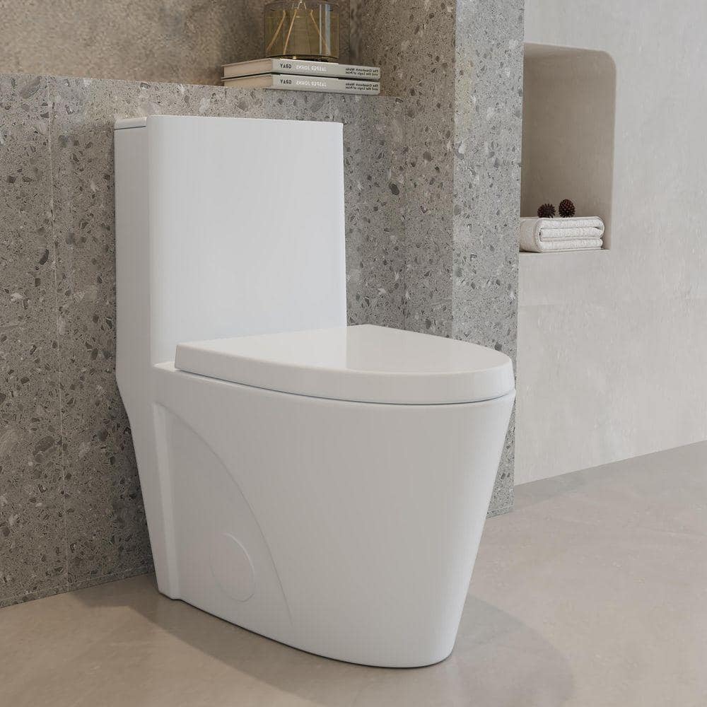 Aionor 1-Piece Toilet 1.1 GPF/1.6 GPF Dual Flush Elongated Toilet