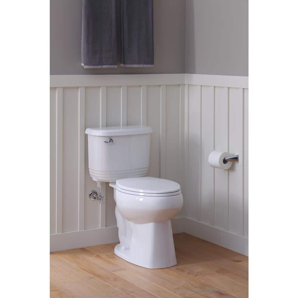 Polished Chrome Pivoting Toilet Paper Holder