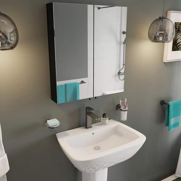 Croydex Dawley 24 in. W x 26 in. H Rectangular Black Steel Surface Mount Double Door Medicine Cabinet with Mirror