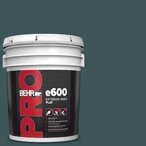 5 gal. #PPU12-01 Abysse Flat Exterior Paint