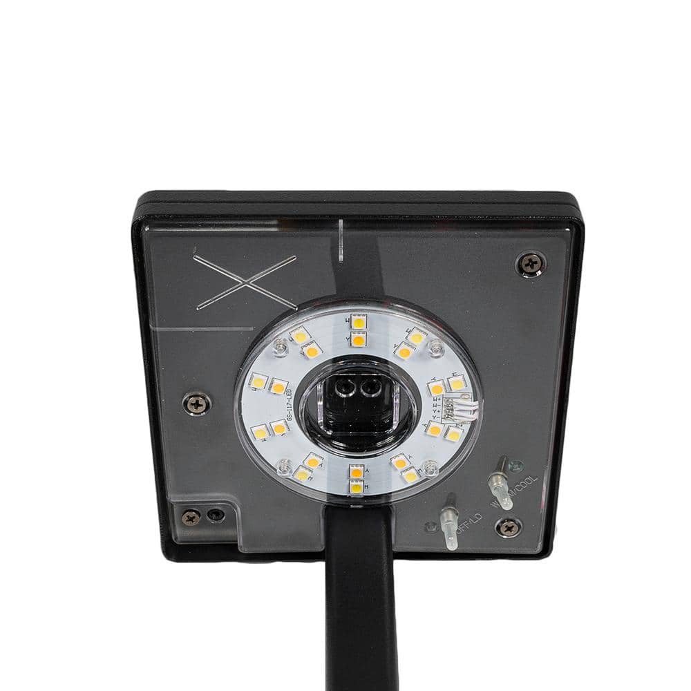 Black Solar LED Pathway Lights with Dual Color Options, 2-Pack