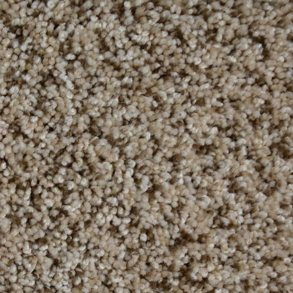 TrafficMaster Watercolors II - Briar Patch - Brown 38.4 oz. Polyester  Texture Installed Carpet HDD9747792 - The Home Depot