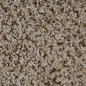 Captain  - New Castle - Brown 35 oz. SD Polyester Texture Installed Carpet