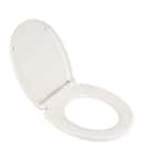 American Standard Traditional Slow-Close EverClean Round Closed Front ...