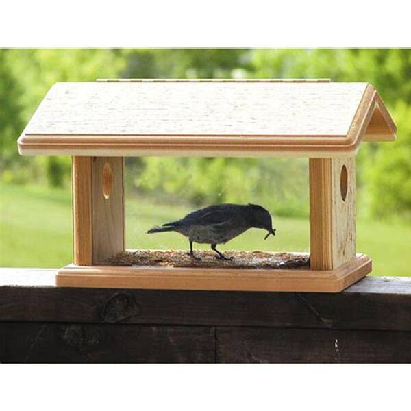 birds choice bluebird feeder