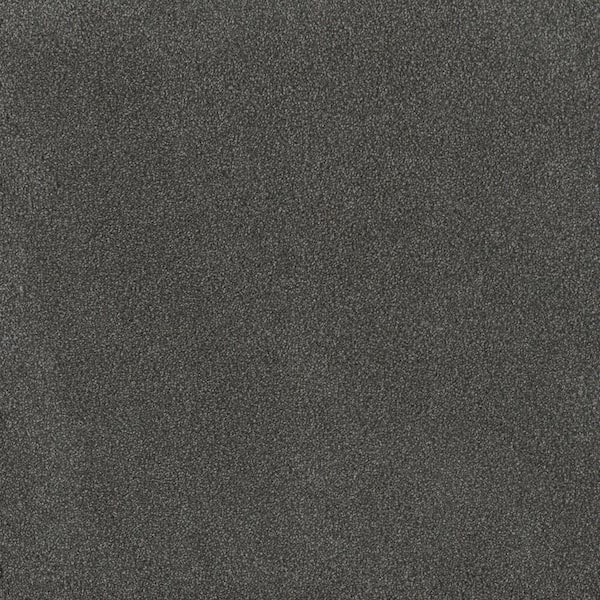 Home Decorators Collection First Class I - Oakwood - Gray 32 oz. SD Polyester Texture Installed Carpet