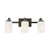 Hampton Bay 3-Light 21 in. Oil-Rubbed Bronze Contemporary Bathroom ...