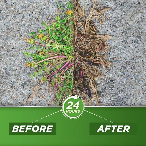 1 Gal. 20% Vinegar Weed Killer