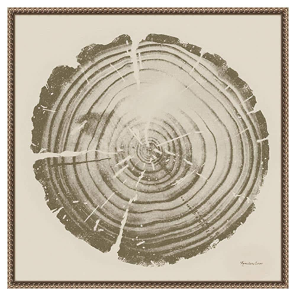 Tree Trunk Cream II Abstract Canvas Print with Bronze Frame