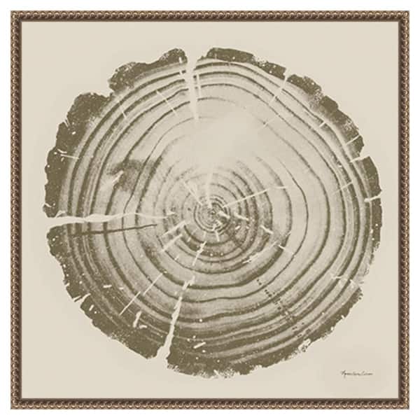 Amanti Art Tree Trunk cream II by Marie Elaine Cusson 22 in. W x 22 in. H Canvas Float Frame in Bronze